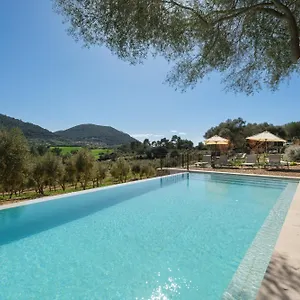 Hotel Treurer - Olive Grove & Grand House - Adults Only *****
